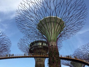 Tree sculptures that harvest solar energy