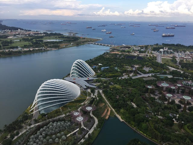 Aerial view of Singapore's Gardens by the Bay